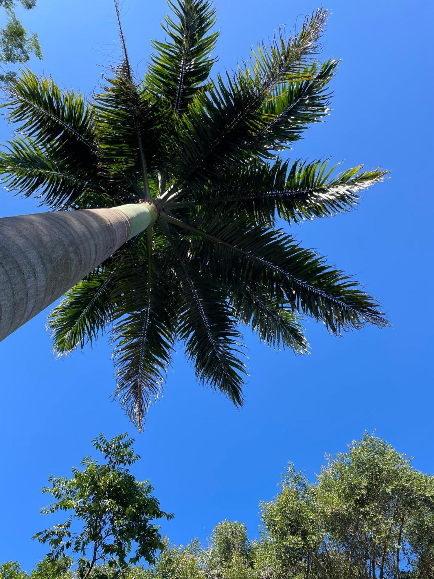 Pousada Fora Da Rotina Búzios Buitenkant foto